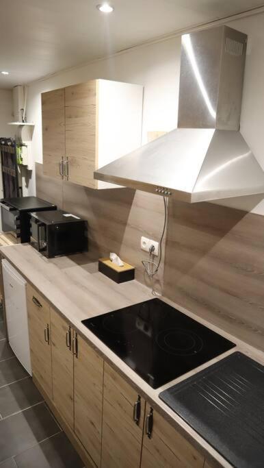 Maison Atypique, Centre-Ville 2+2 Pers Sauna Ir ซีดาน ภายนอก รูปภาพ